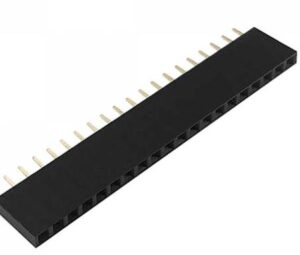 Espadines hembra - 40 pin